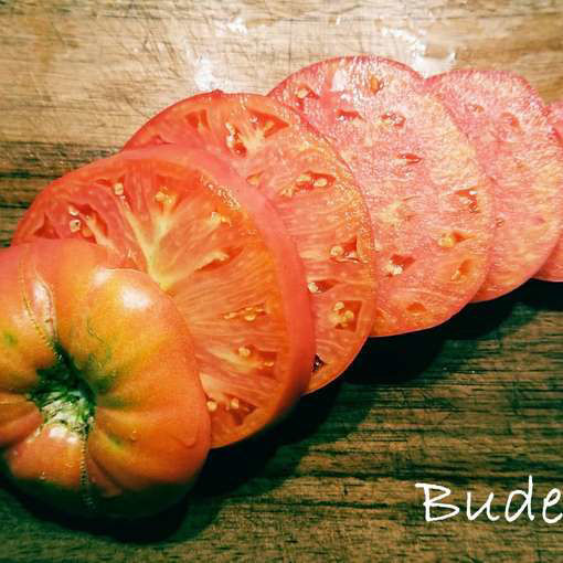 Budenovka Beefsteak Tomato Meraki Seeds