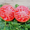 Malinowy 1955 Beefsteak Tomato