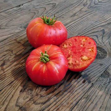 Blushing Bride Beefsteak Tomato Blushing Bride Beefsteak Tomato
