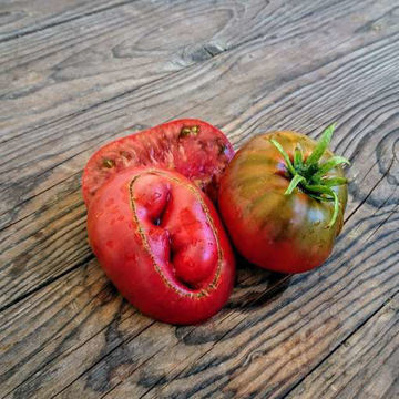 Chernyy Slon Beefsteak Tomato Chernyy Slon Beefsteak Tomato
