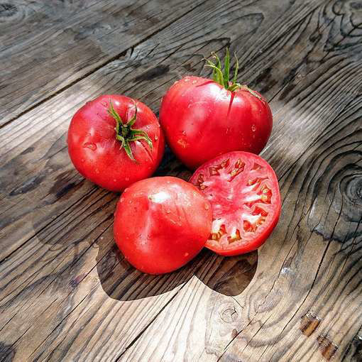 Sibirskiy Velikan Rozovyi Beefsteak Tomato