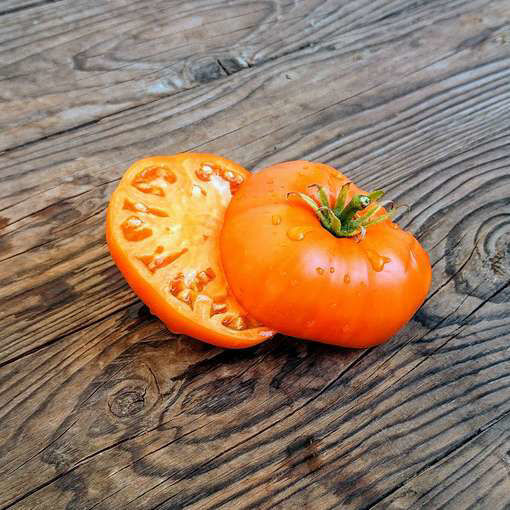 Brandywine Orange Beefsteak Tomato