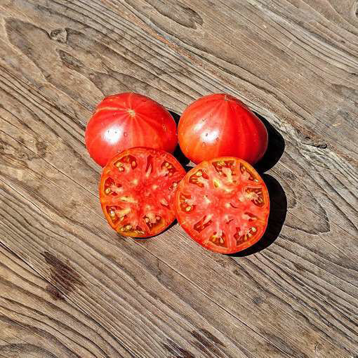Brandywine Red Beefsteak Tomato