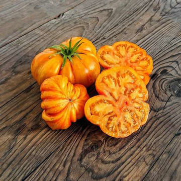 Lithium Sunset Beefsteak Tomato Lithium Sunset Beefsteak Tomato