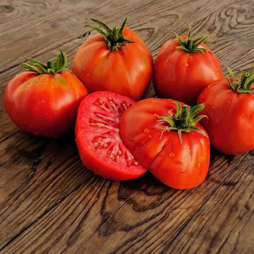Pera de Abrusso Beefsteak Tomato Pera de Abrusso Beefsteak Tomato