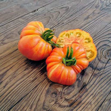 Serendipity Striped Beefsteak Tomato Serendipity Striped Beefsteak Tomato