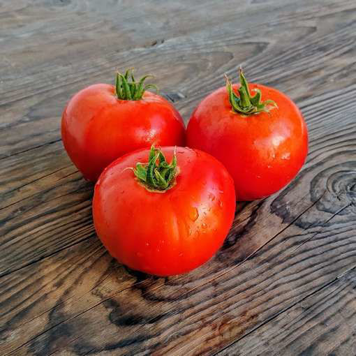 Tres Cantos Beefsteak Tomato