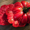 American Ribbed Black Beefsteak Tomato