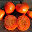 Liskin Nos Beefsteak Tomato