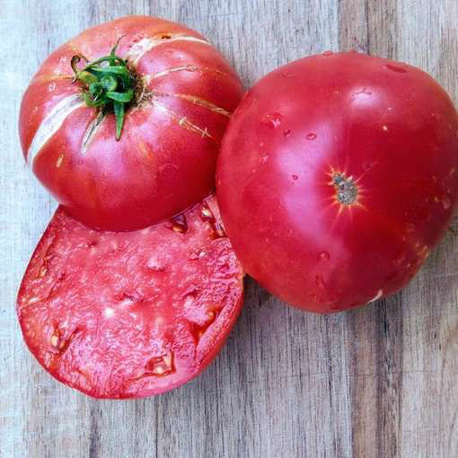 Purple Calabash Beefsteak Tomato