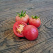 Tomate de Colgar Mallorquin Longkeeper Tomato