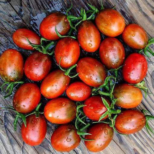 Black Plum TomatoMeraki Seeds