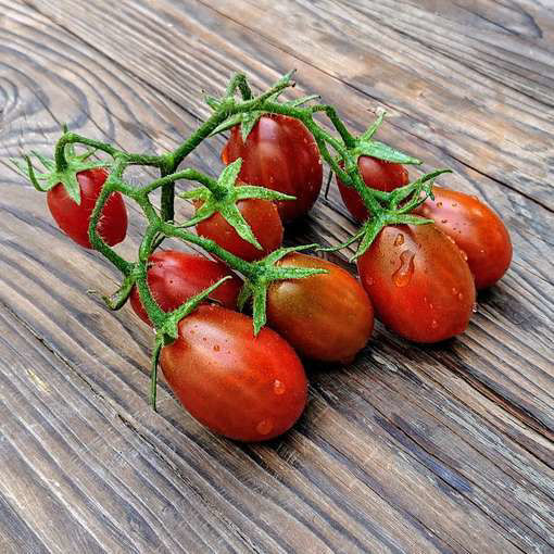 Black Plum Tomato-Meraki Seeds