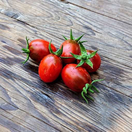 Grusha Chernaya Paste-Type Tomato