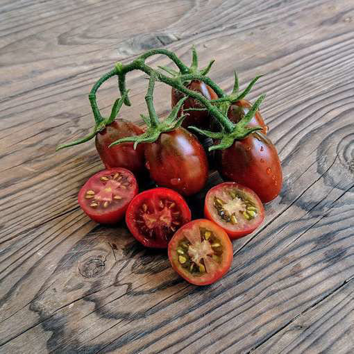 Koritschnevaja Sliva Paste-Type Tomato