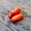 Speckled Roman Paste-Type Tomato
