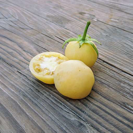 Primrose Gage Tomato