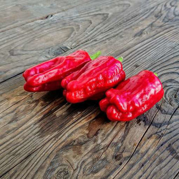 Stavros Sweet Pepper Stavros Sweet Pepper
