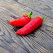 Hungarian Hot Wax Chili Pepper