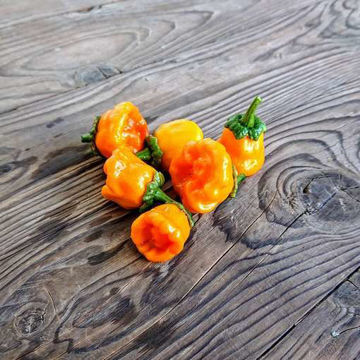 Mushroom Yellow Chili Pepper Mushroom Yellow Chili Pepper