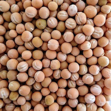 Svalöfs Torsdagsärt Soup Pea Svalöfs Torsdagsärt Soup Pea
