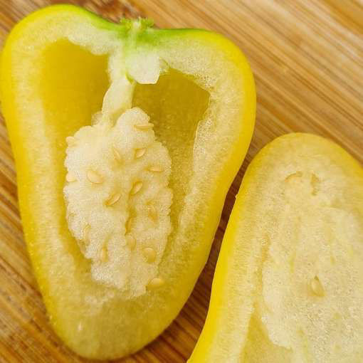 Tomatillo Queen of Seeds