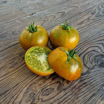 Deatons Dwarf - NOT Dwarf Tomato Deatons Dwarf - NOT Dwarf Tomato