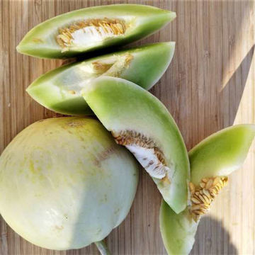 Zakynthos Melon Zakynthos Melon