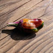 Purple Cacho White Leaf Chili Pepper