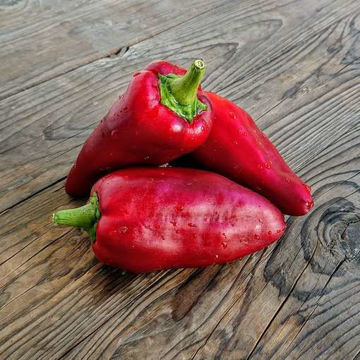 Laylak Sweet Pepper Laylak Sweet Pepper