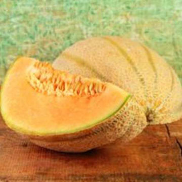 Melon Cantaloupe di Charentais Melon Cantaloupe di Charentais