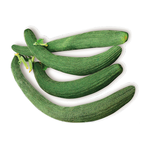 Tortarello Verde Scuro Cucumber 
