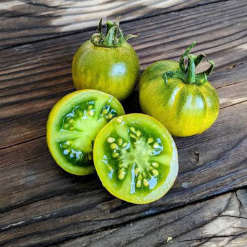 Sweet Baby Jade Dwarf Tomato Sweet Baby Jade Dwarf Tomato