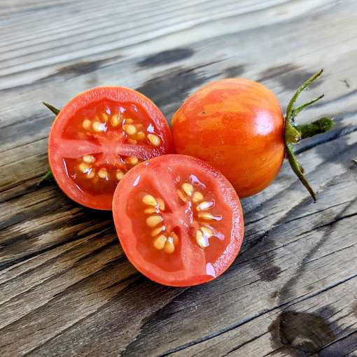 Ruby Slippers Dwarf Tomato-Meraki Seeds