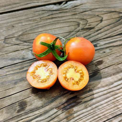 Karma Apricot Tomato-Meraki Seeds