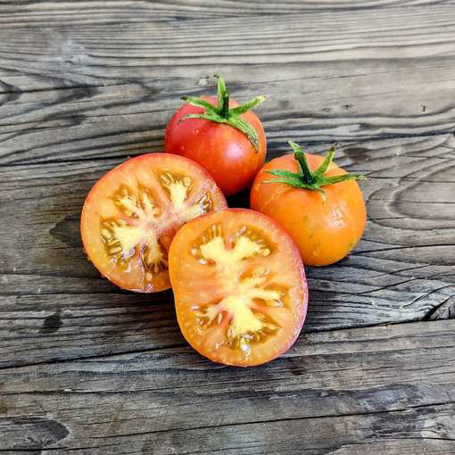 Karma Peach Tomato