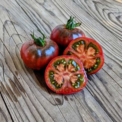 Karma Purple Tomato