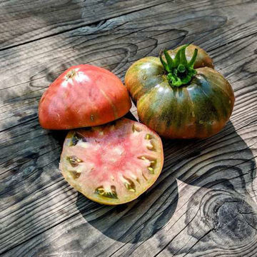 Karen Olivier - Northern Gardener-Meraki Seeds