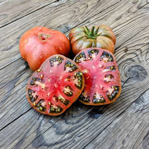 Polaris Beefsteak TomatoMeraki Seeds