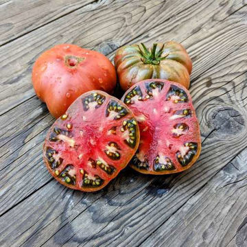 Polaris Beefsteak Tomato Polaris Beefsteak Tomato