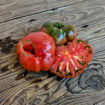 Polaris Beefsteak Tomato