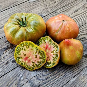 True Colors Beefsteak Tomato True Colors Beefsteak Tomato