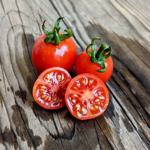 Andrina Micro Dwarf Tomato