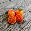 Bonte Tigret Micro Dwarf Tomato