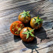 Dark Stripe Dwarf Tomato