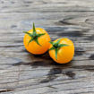 Floragold Basket Micro Dwarf Tomato