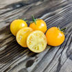 Floragold Basket Micro Dwarf Tomato