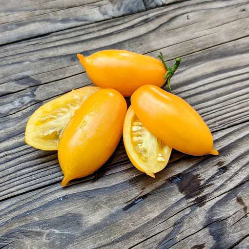 Guinel Yellow Cascading Tomato
