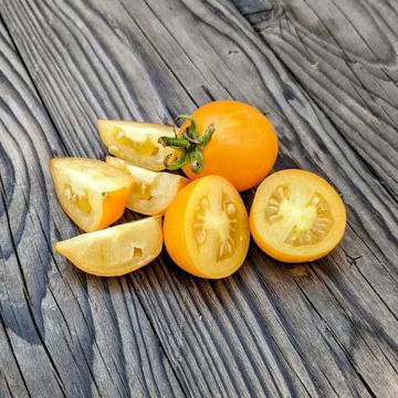 Rambling Gold Stripe Cascading Tomato Rambling Gold Stripe Cascading Tomato