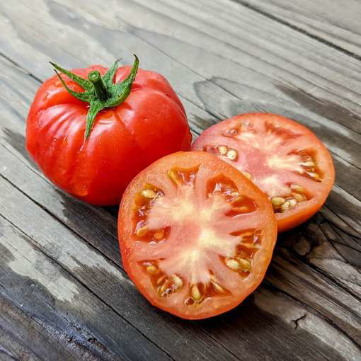 Turboreaktivny Bush Tomato